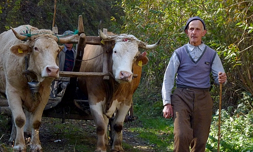 Romania image 2