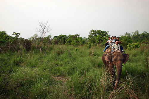 Safari and Rafting